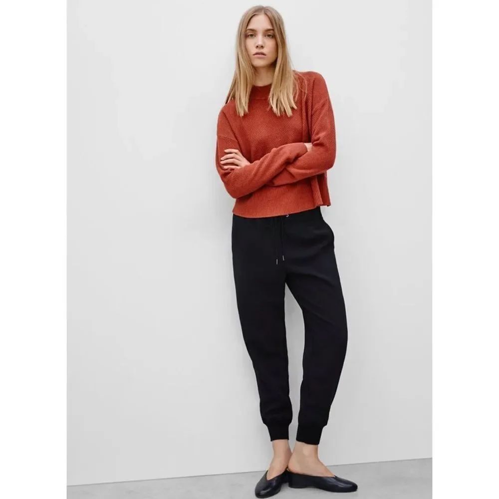 Aritzia Wilfred Buffon Pant Jogger